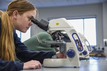 Gillian Bradley looks through microscope